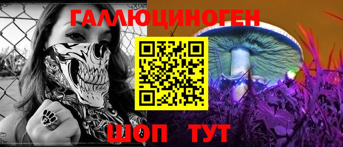 Галлюциногенные грибы Psilocybe Кострома