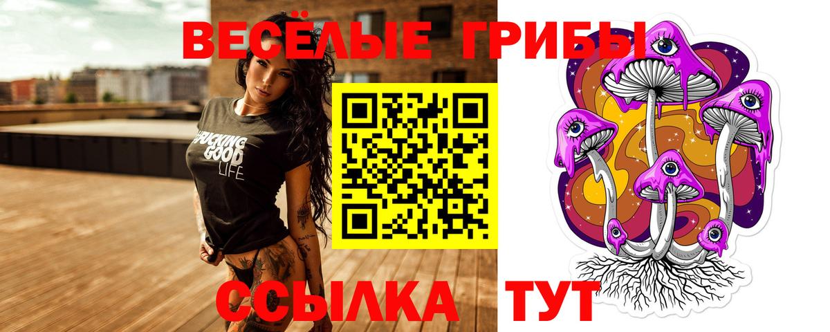 Псилоцибиновые грибы Psilocybine cubensis  Вход с VPN  Кострома 